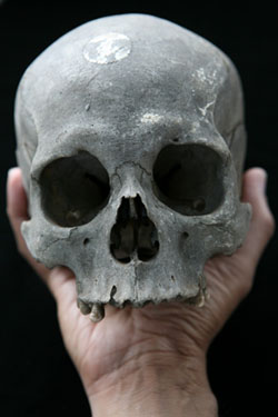skull in hand